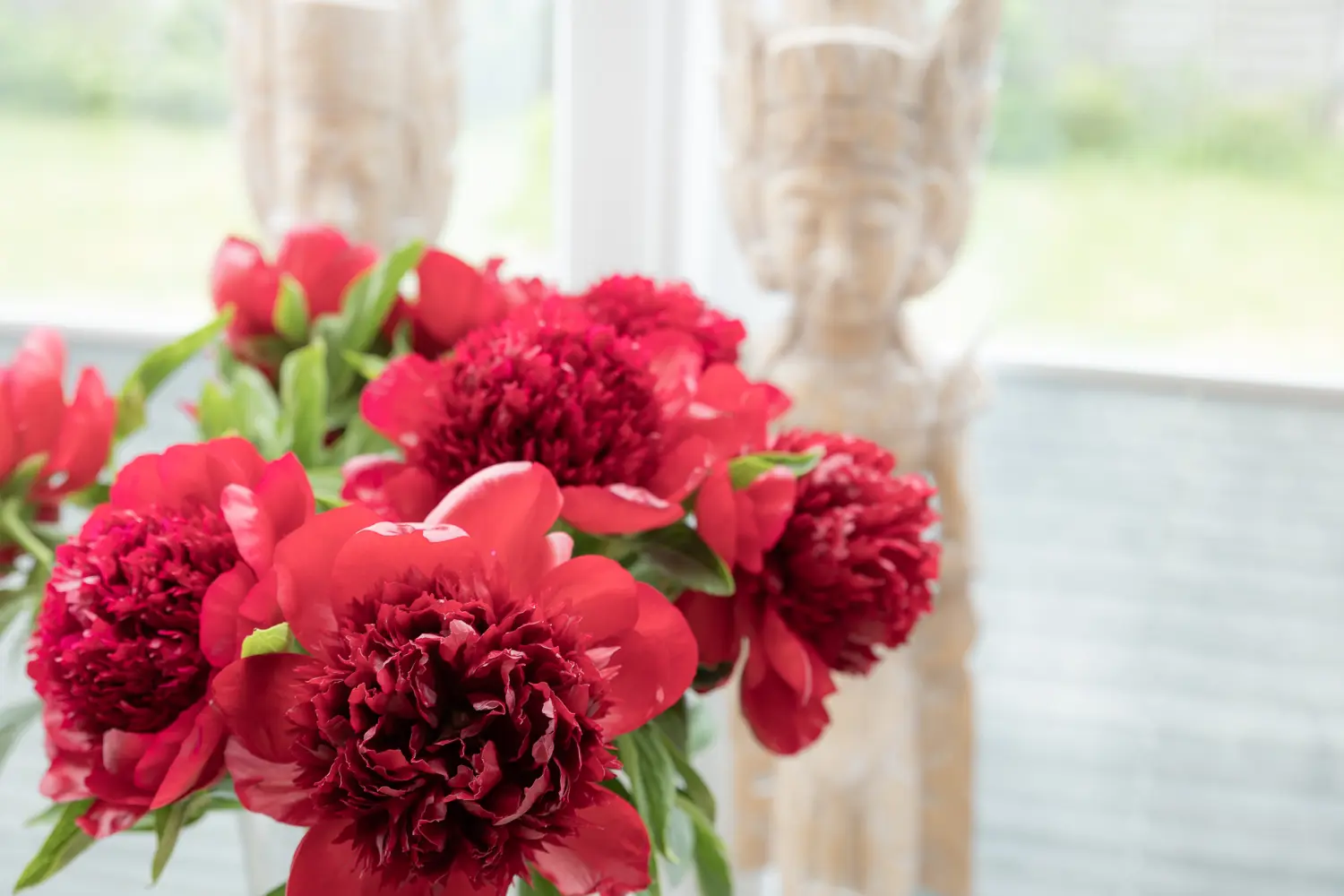 Anke Albrecht – Coach – rote Blumen