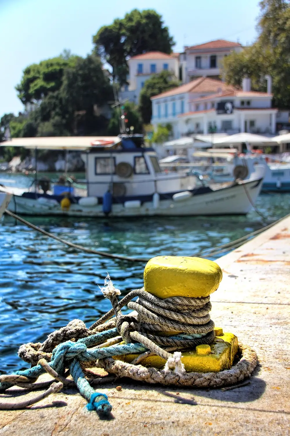 Anke Albrecht – Coach – Festmacherpoller